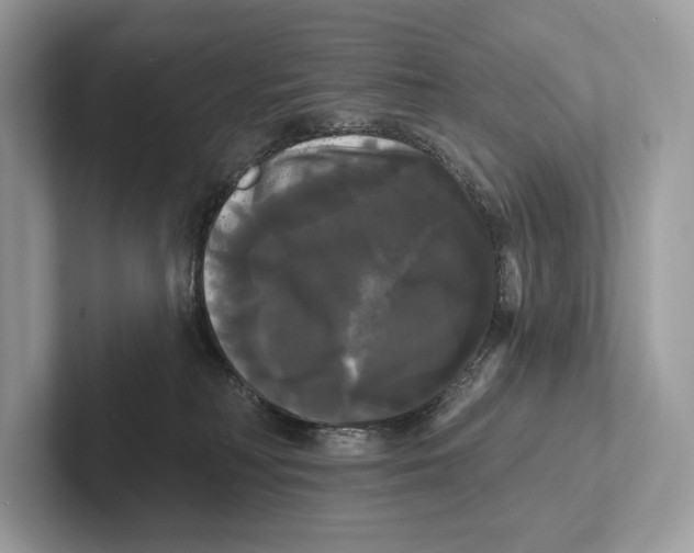 X0000100920230200807221123