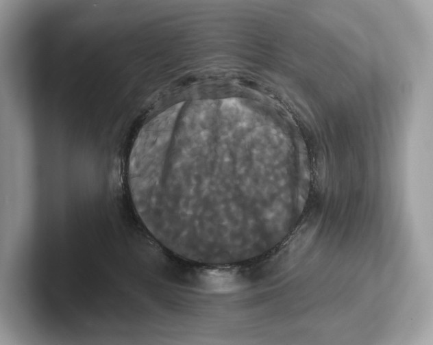 X0000100920232200807221122