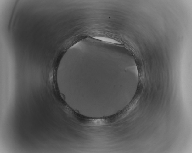 X0000100920233200807221122