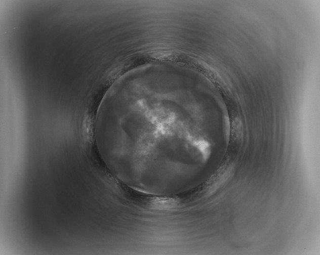 X0000100920234200807221122