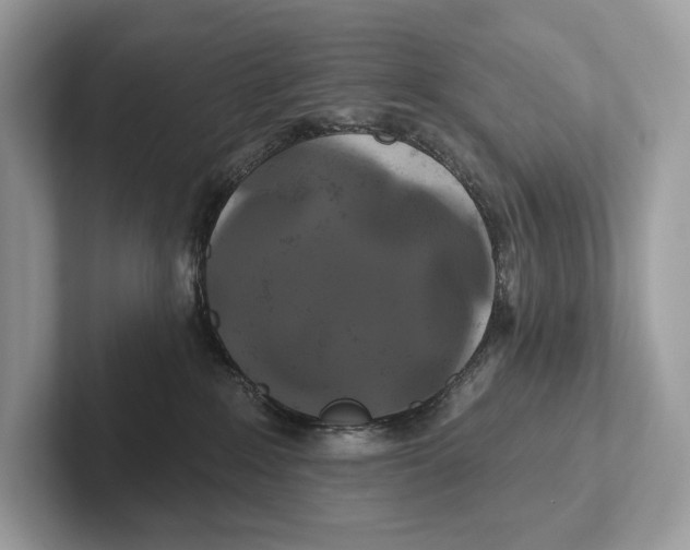 X0000100920235200807221122