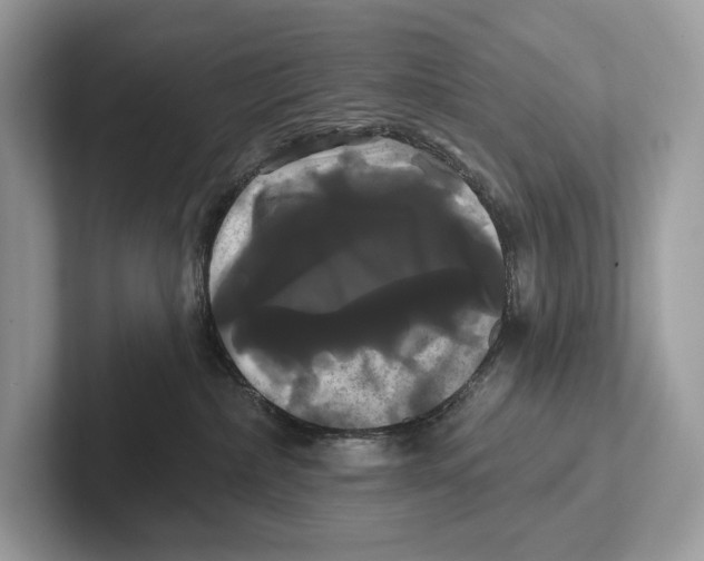 X0000100920236200807221122