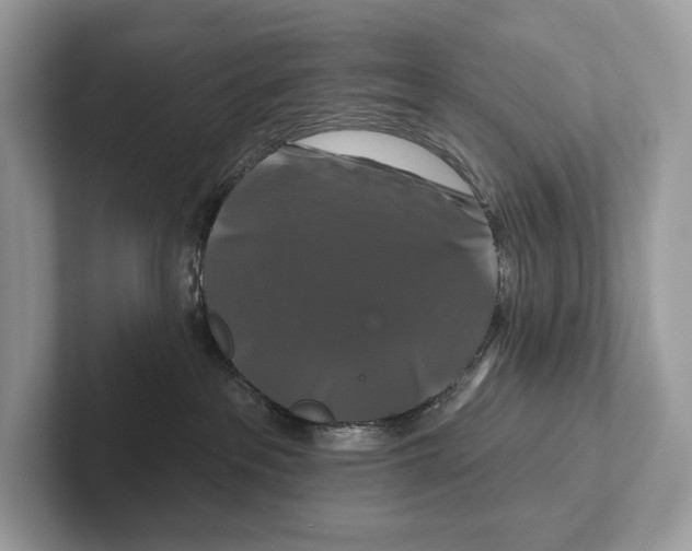 X0000100920237200807221122