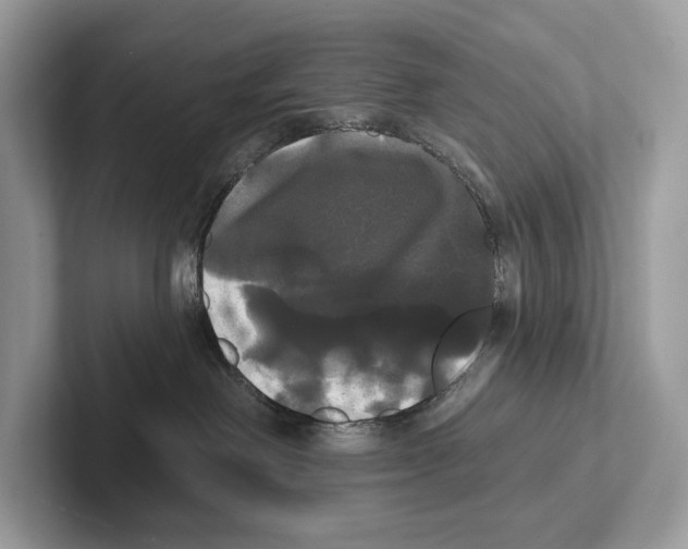 X0000100920238200807221122