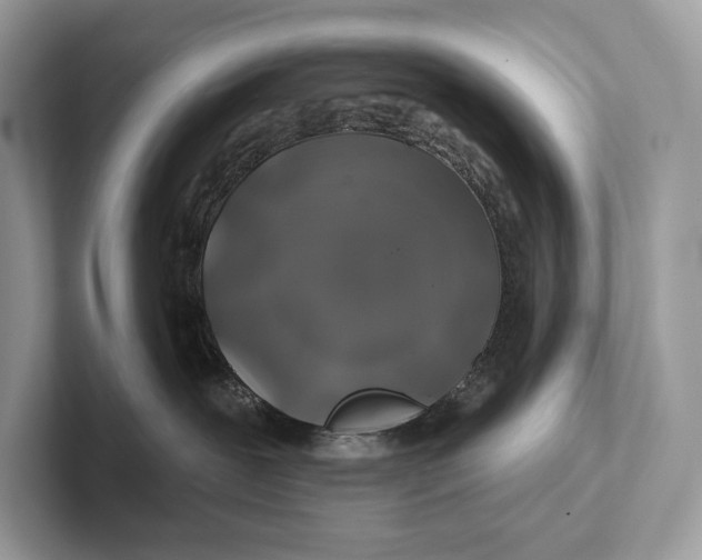X0000100920239200807221122