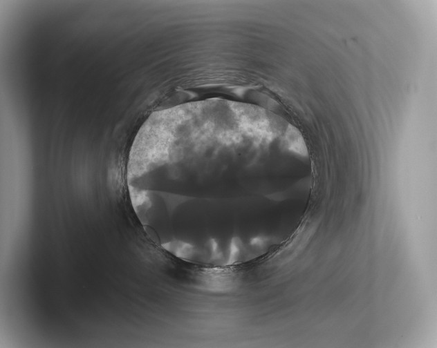 X0000100920240200807221122