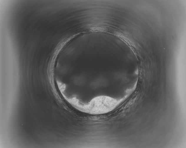 X0000100920241200807221122