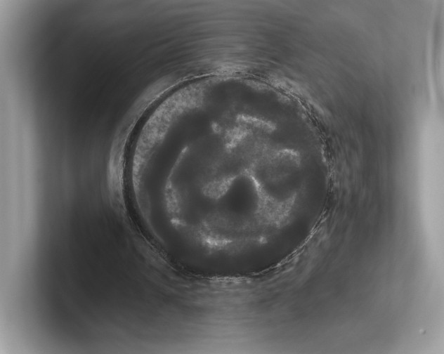 X0000100920242200807221122