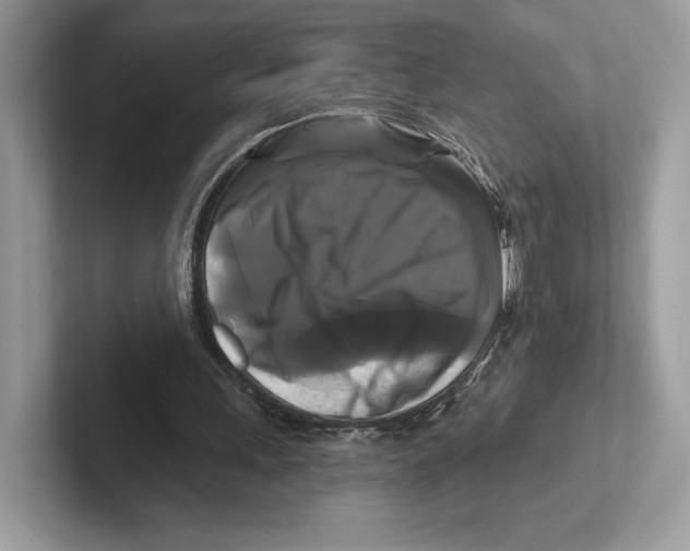 X0000100920243200807221122