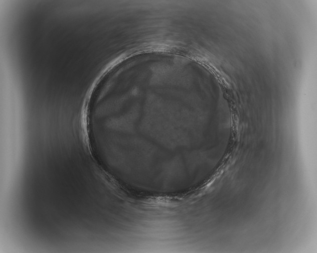 X0000100920244200807221122