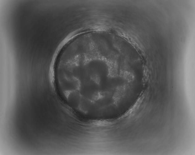 X0000100920246200807221122