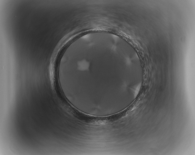 X0000100920247200807221122