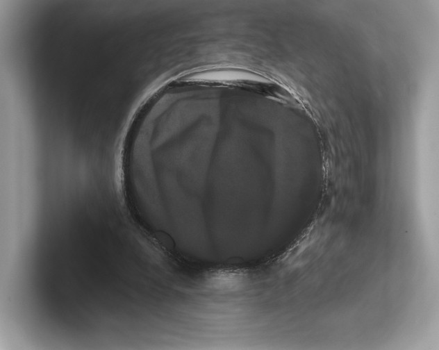 X0000100920248200807221122