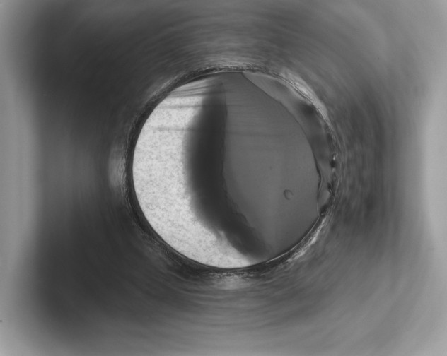 X0000100920249200807221122