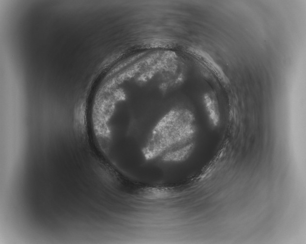 X0000100920250200807221122