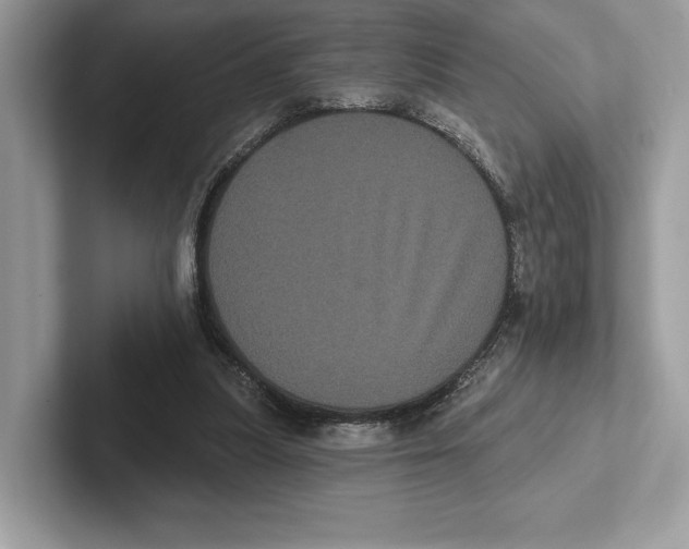X0000100920251200807221122