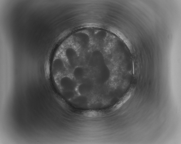 X0000100920253200807221122