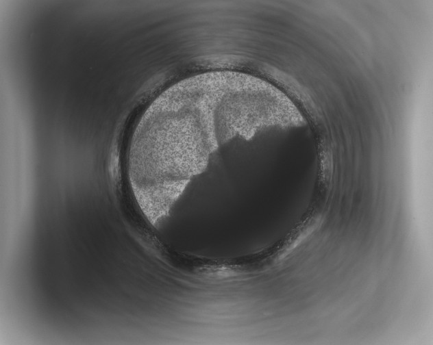 X0000100920254200807221122