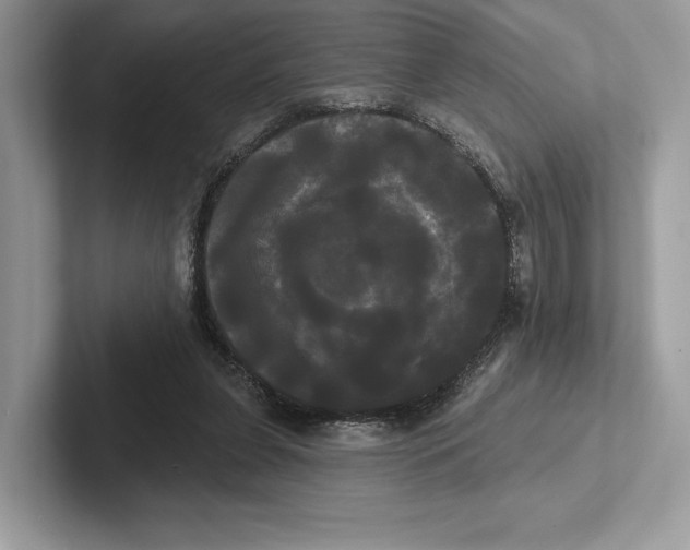 X0000100920255200807221122