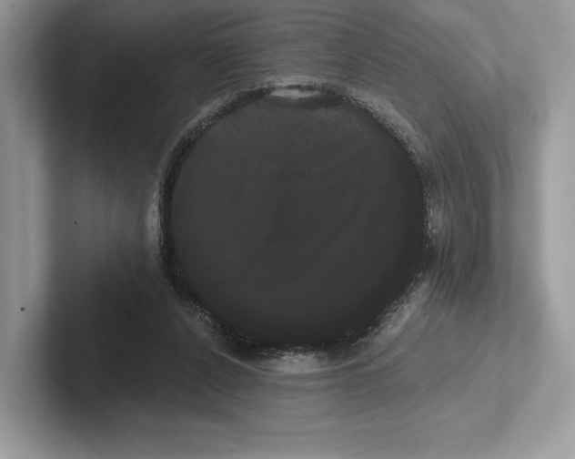 X0000100920256200807221122
