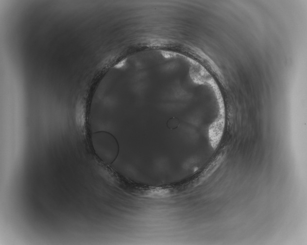 X0000100920257200807221122