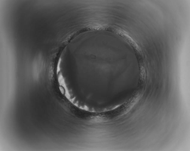 X0000100920259200807221122