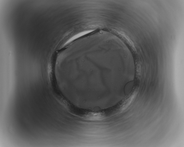 X0000100920260200807221122