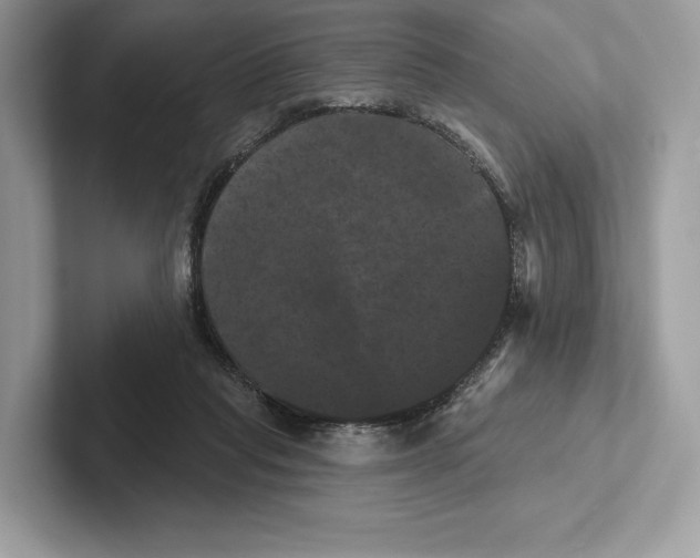 X0000100920261200807221122