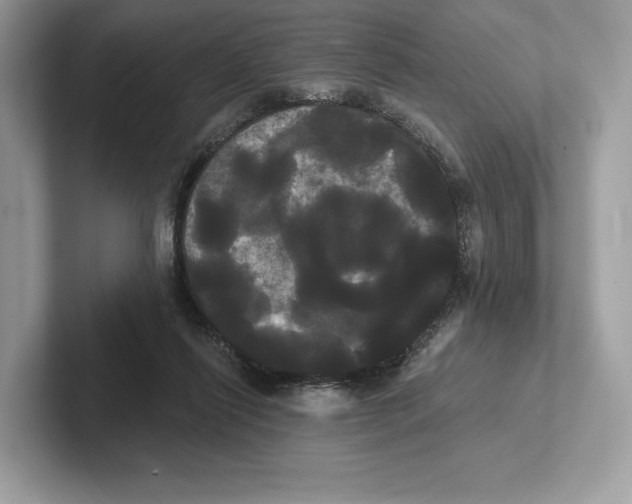 X0000100920262200807221122