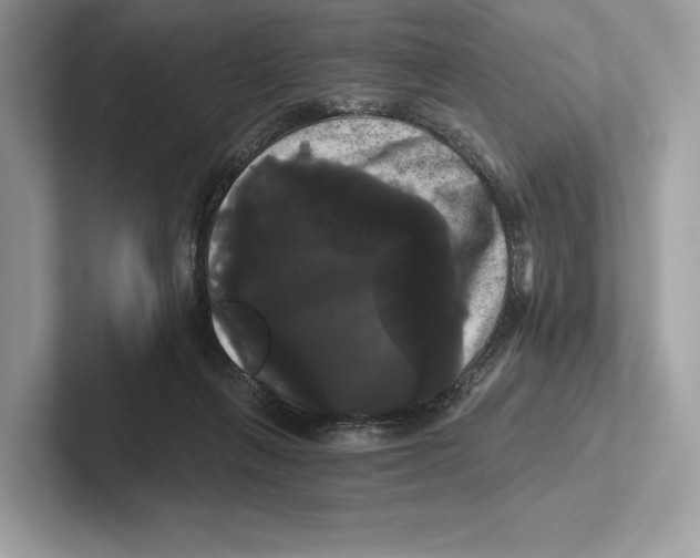 X0000100920263200807221122