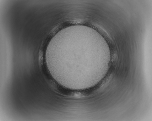 X0000100920264200807221122