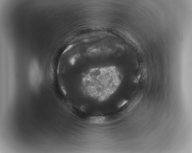 X0000100920266200807221122