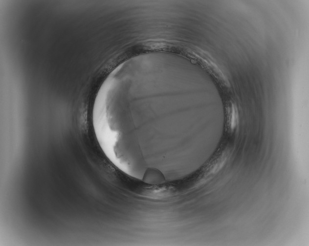 X0000100920267200807221122