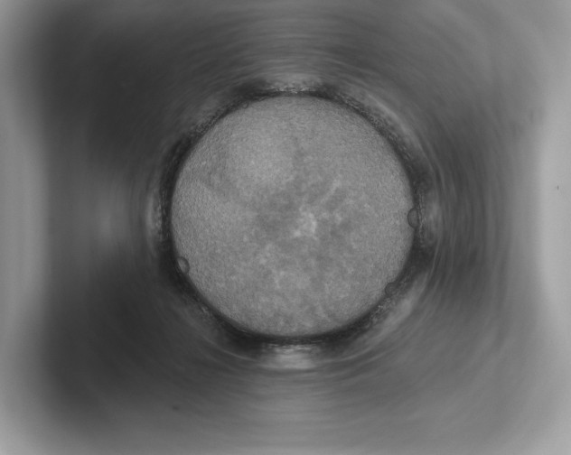 X0000100920268200807221122