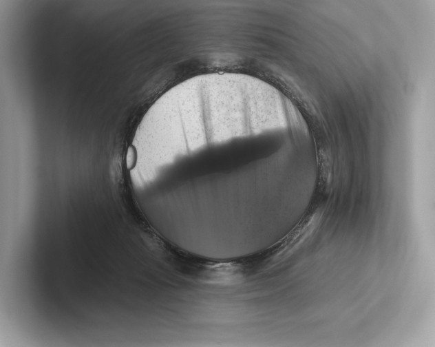 X0000100920269200807221122