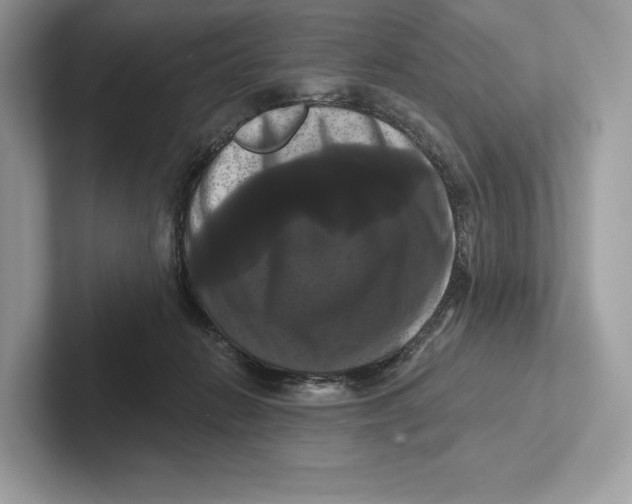 X0000100920270200807221122