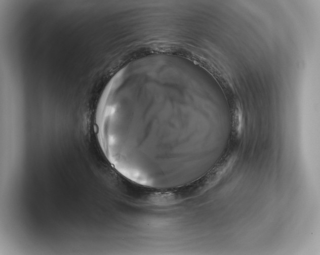 X0000100920271200807221122