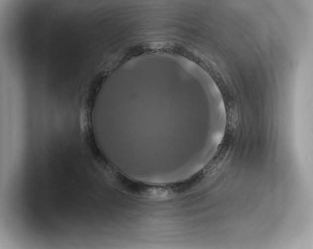 X0000100920272200807221122