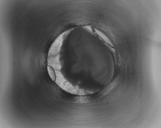 X0000100920273200807221122