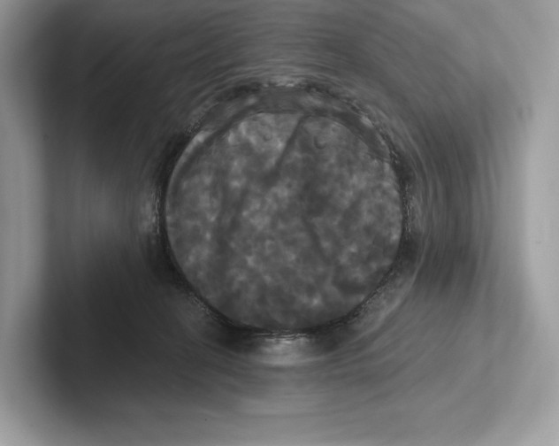 X0000100920274200807221122