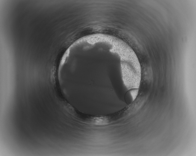 X0000100920275200807221122