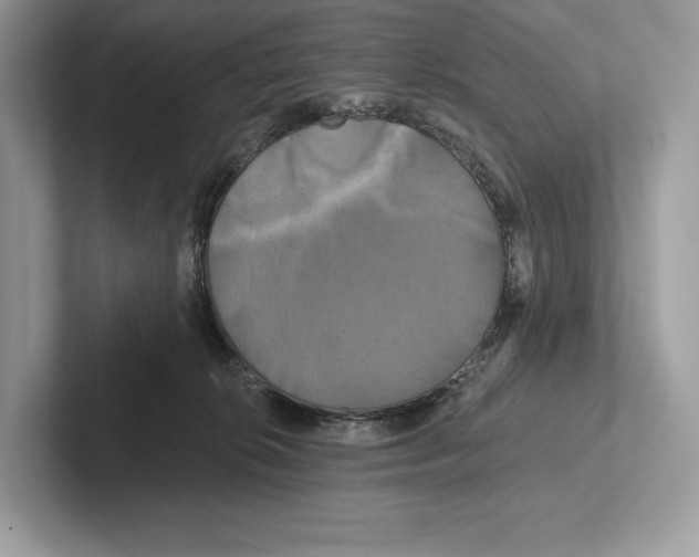 X0000100920276200807221122
