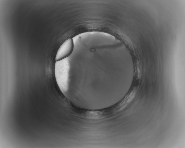 X0000100920277200807221122