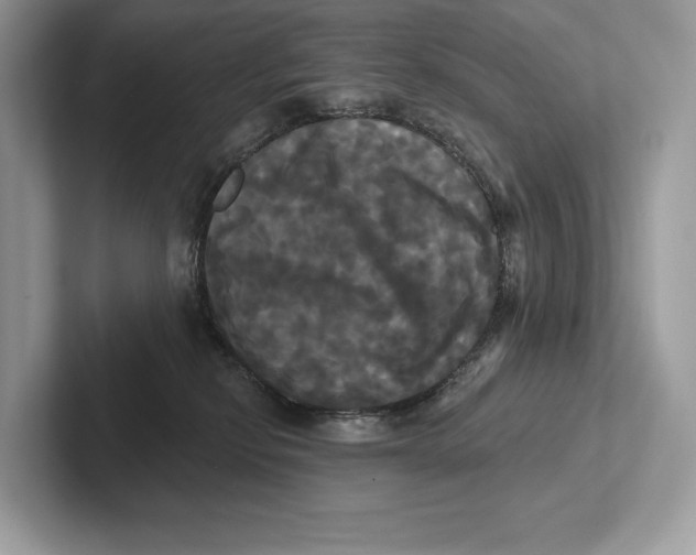 X0000100920278200807221122