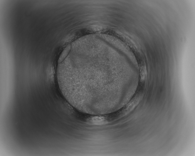 X0000100920279200807221122