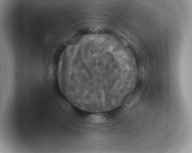 X0000100920280200807221122