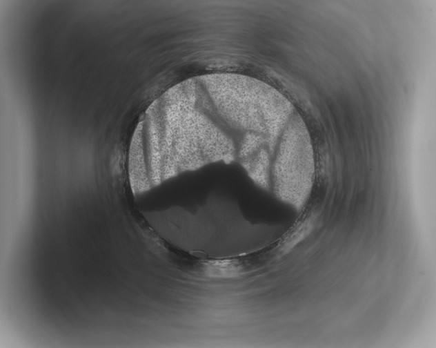 X0000100920281200807221122