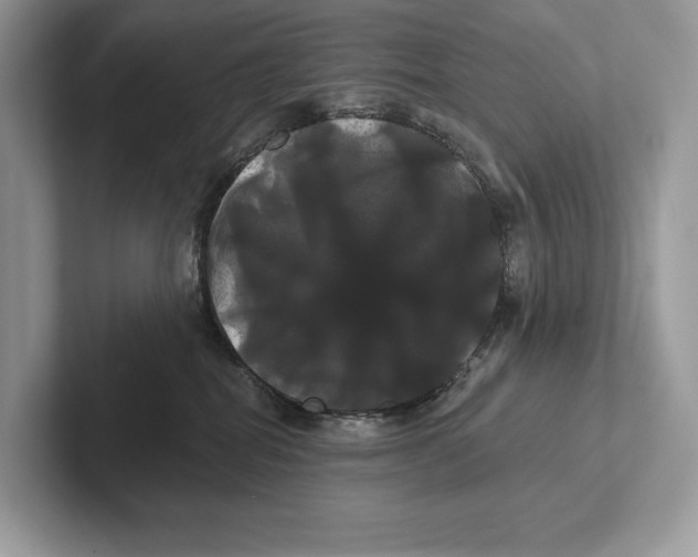 X0000100920282200807221122