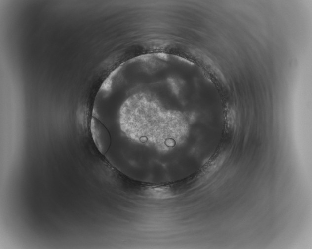 X0000100920283200807221122