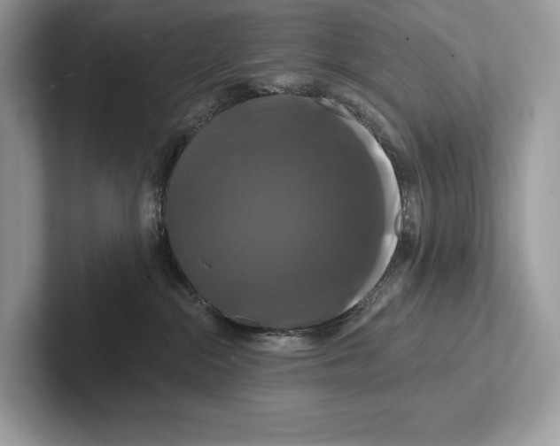 X0000100920284200807221122